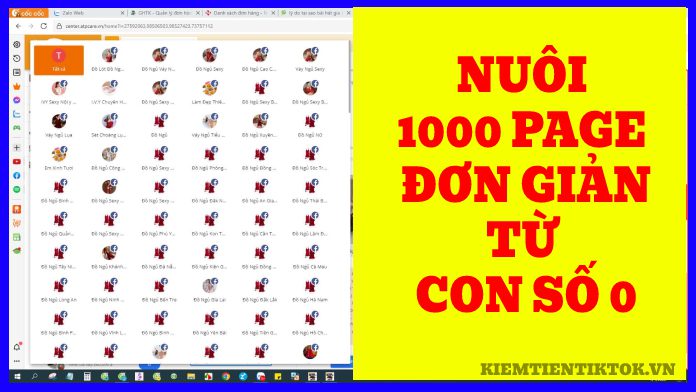 Mẹo Nuôi 1000 Page Đơn Giản Từ Con Số 0